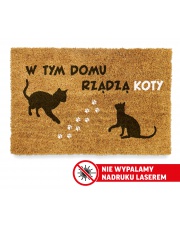 Wycieraczka wejściowa kolorowa 